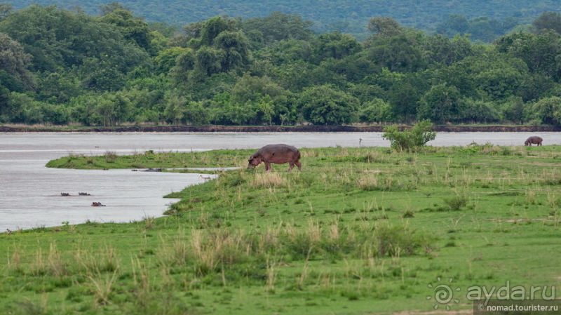 Замбия: Дорога, Луангва, птицы, звери и люди