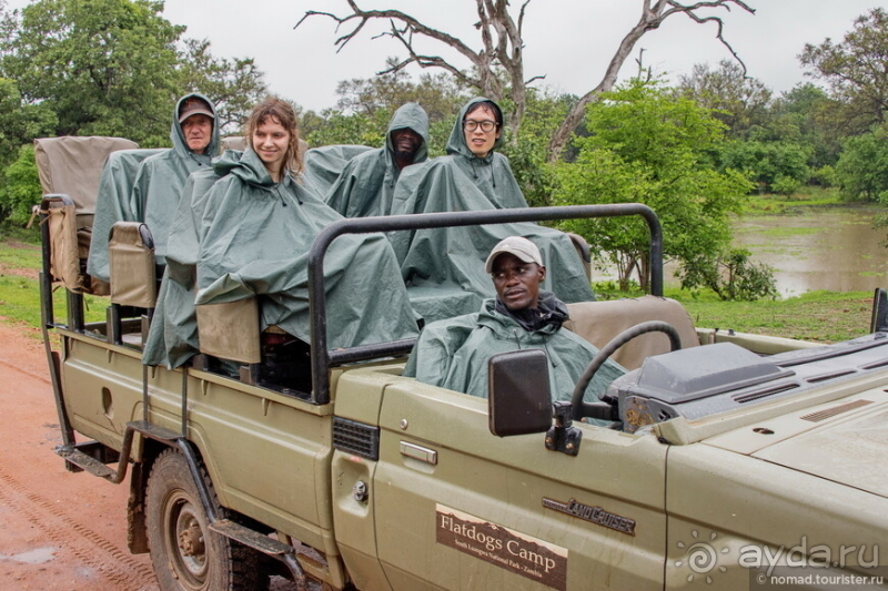 Замбия: Дорога, Луангва, птицы, звери и люди