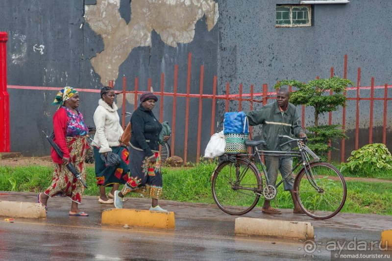 Замбия: Дорога, Луангва, птицы, звери и люди
