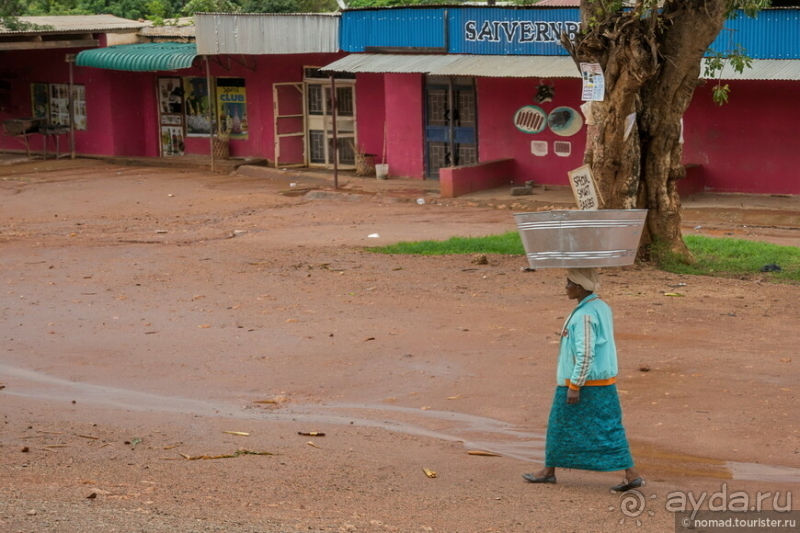 Замбия: Дорога, Луангва, птицы, звери и люди