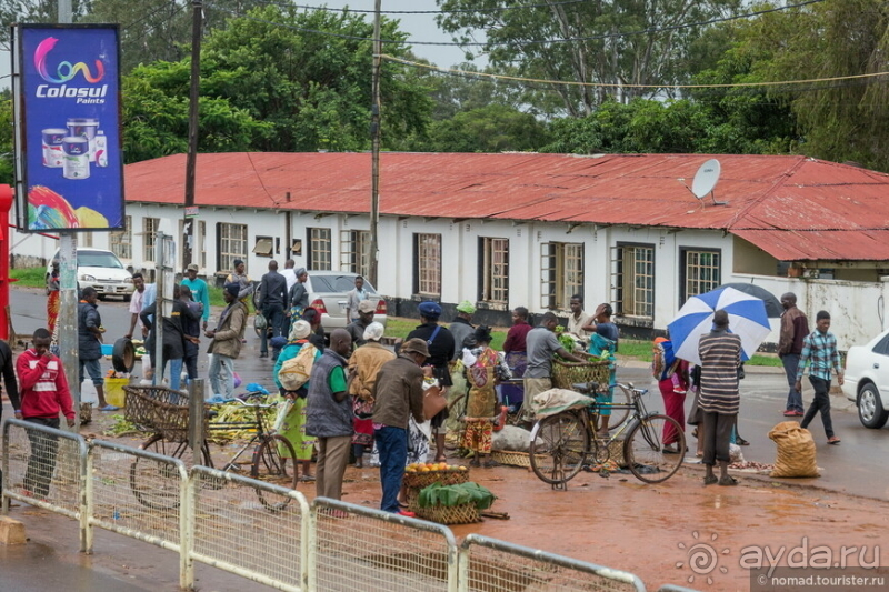 Замбия: Дорога, Луангва, птицы, звери и люди