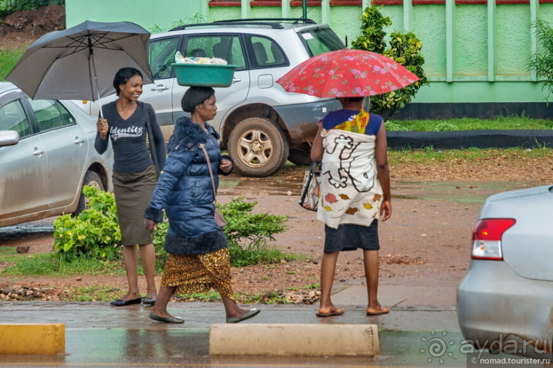 Замбия: Дорога, Луангва, птицы, звери и люди