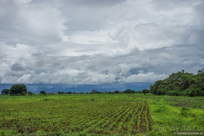 Замбия: Дорога, Луангва, птицы, звери и люди