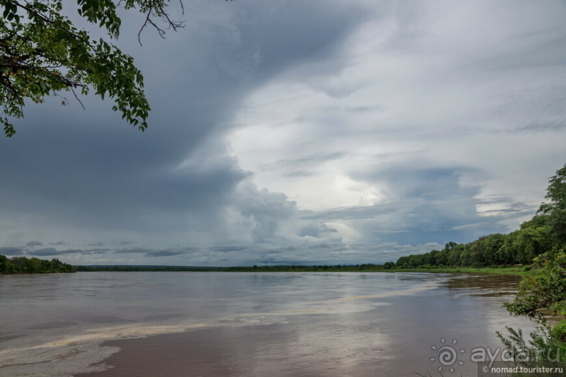 Замбия: Дорога, Луангва, птицы, звери и люди