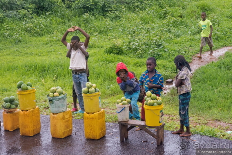 Замбия: Дорога, Луангва, птицы, звери и люди