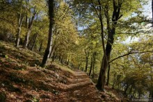 Альбом отзыва "Между Псоу и Ингур. Часть 3"