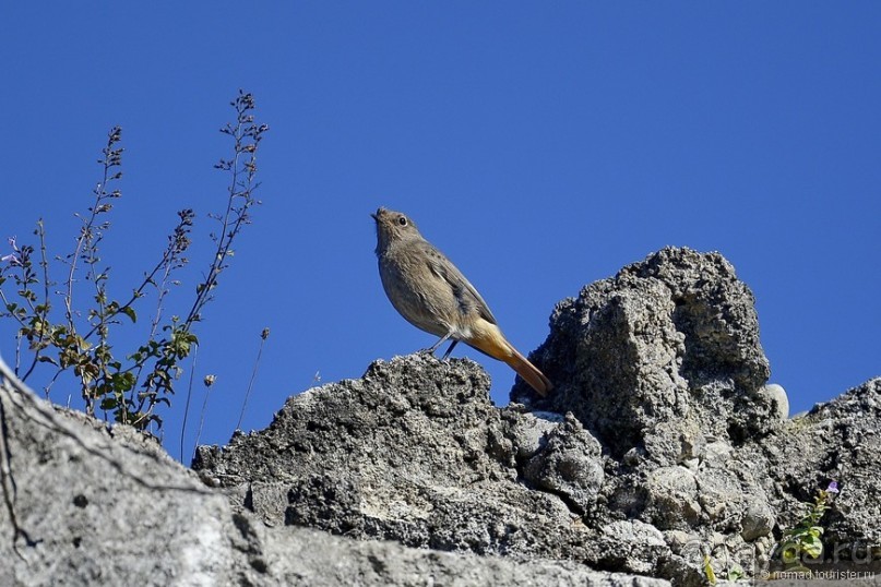 Между Псоу и Ингур. Часть 3