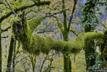 Между Псоу и Ингур. Часть 3