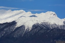 Альбом отзыва "Между Псоу и Ингур. Часть 3"