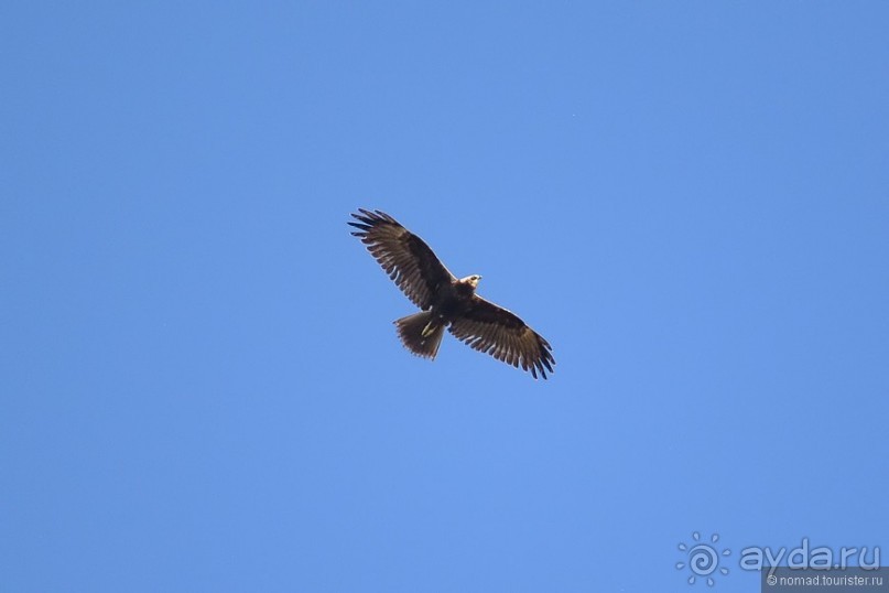 Между Псоу и Ингур. Часть 3