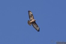 Между Псоу и Ингур. Часть 3