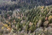 Между Псоу и Ингур. Часть 3