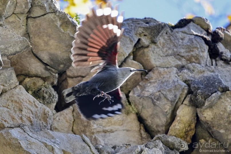 Между Псоу и Ингур. Часть 3