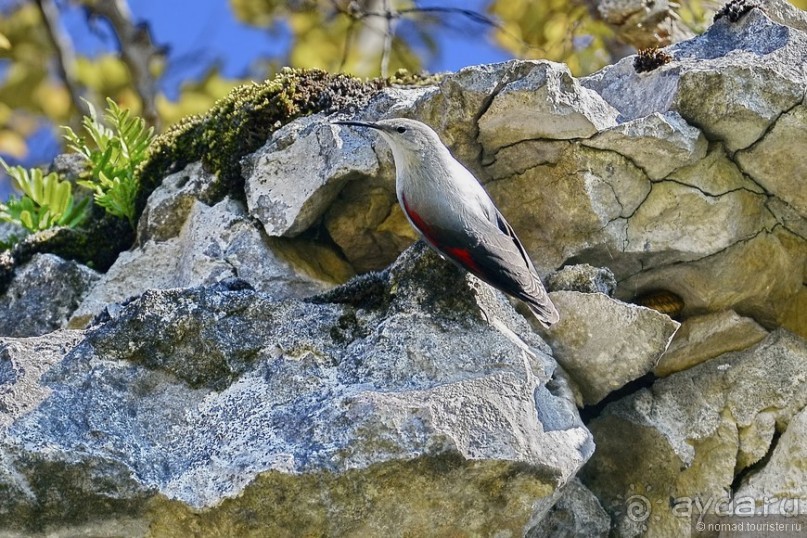 Между Псоу и Ингур. Часть 3