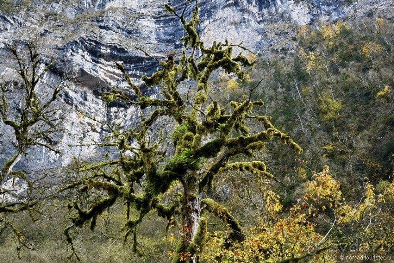 Между Псоу и Ингур. Часть 3