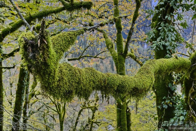 Между Псоу и Ингур. Часть 3