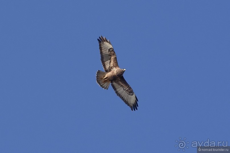 Между Псоу и Ингур. Часть 3