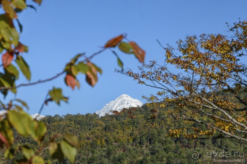 Между Псоу и Ингур. Часть 3