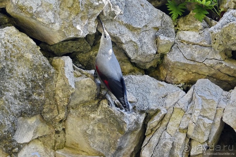 Между Псоу и Ингур. Часть 3