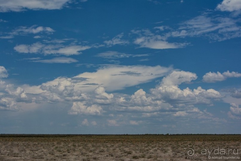 Альбом отзыва "Африканский калейдоскоп. Часть 10"