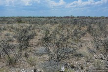 Альбом отзыва "Африканский калейдоскоп. Часть 10"