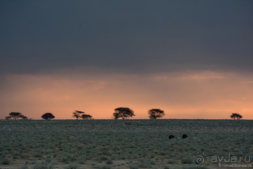 Африканский калейдоскоп. Часть 10