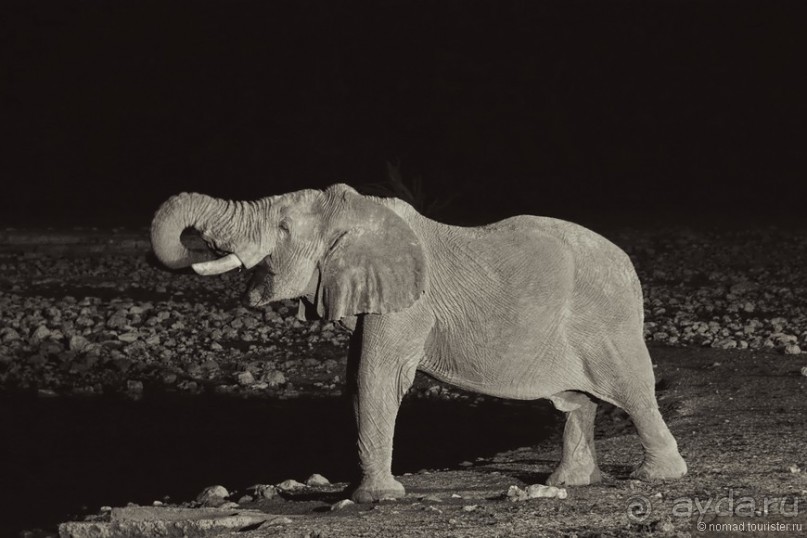 Африканский калейдоскоп. Часть 10