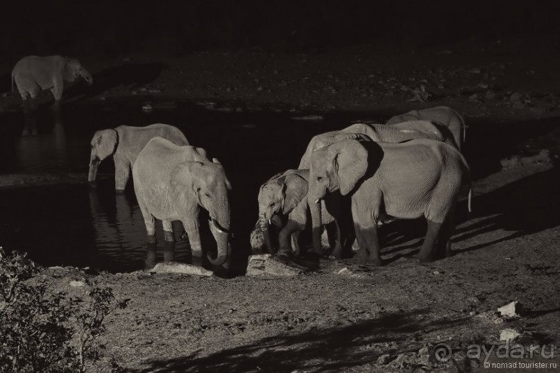 Африканский калейдоскоп. Часть 10