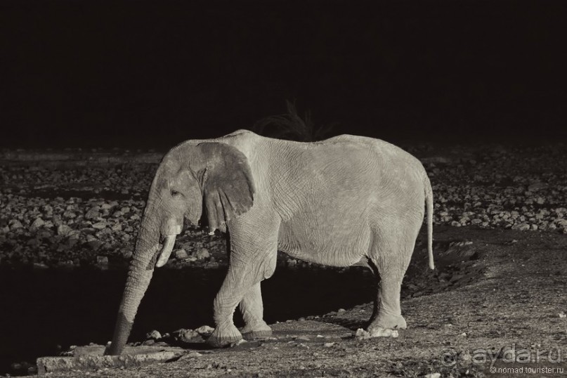 Африканский калейдоскоп. Часть 10