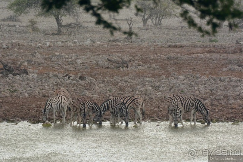 Африканский калейдоскоп. Часть 10