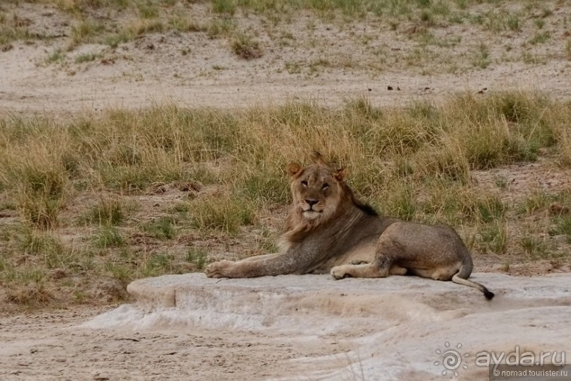 Африканский калейдоскоп. Часть 10