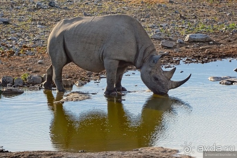 Африканский калейдоскоп. Часть 10