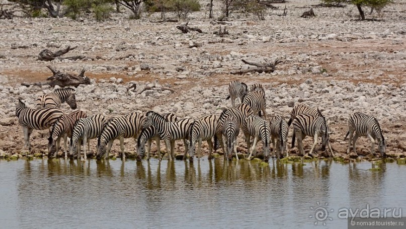 Африканский калейдоскоп. Часть 10
