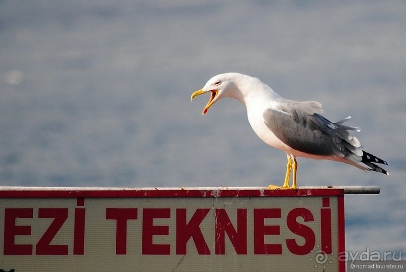 Прогулки по Стамбулу. Азиатский берег