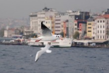 Прогулки по Стамбулу. Азиатский берег