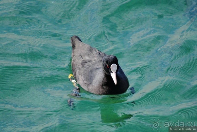 Прогулки по Стамбулу. Азиатский берег