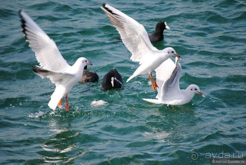 Прогулки по Стамбулу. Азиатский берег