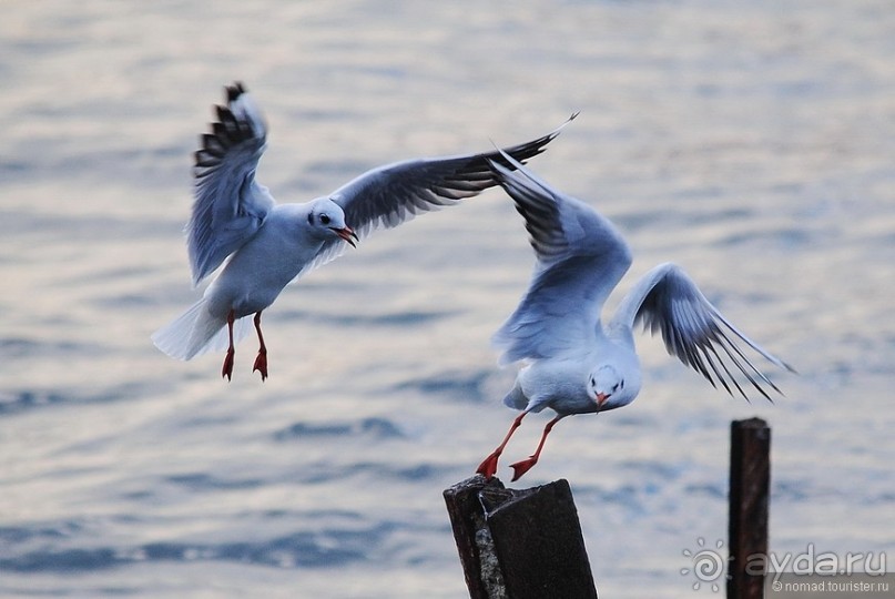 Прогулки по Стамбулу. Азиатский берег