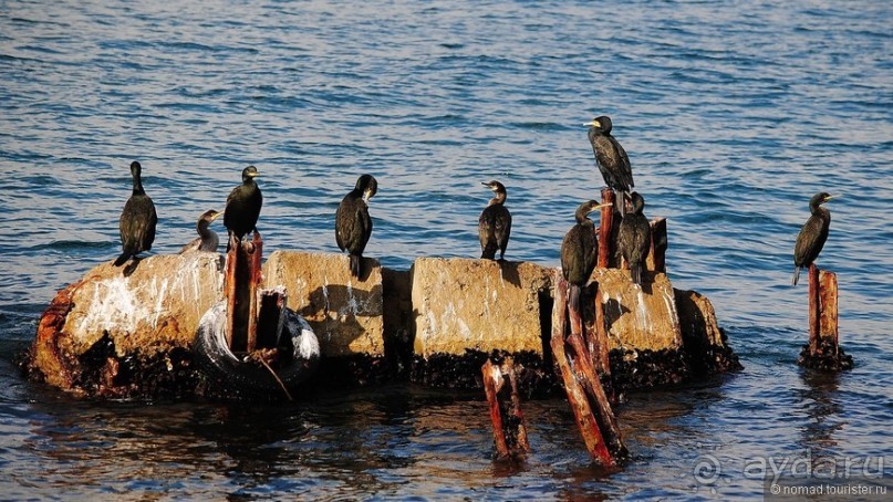 Прогулки по Стамбулу. Азиатский берег
