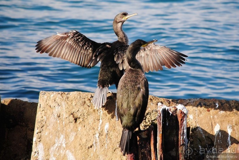Прогулки по Стамбулу. Азиатский берег