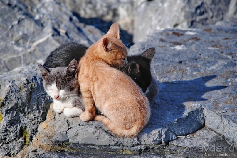 Прогулки по Стамбулу. Азиатский берег