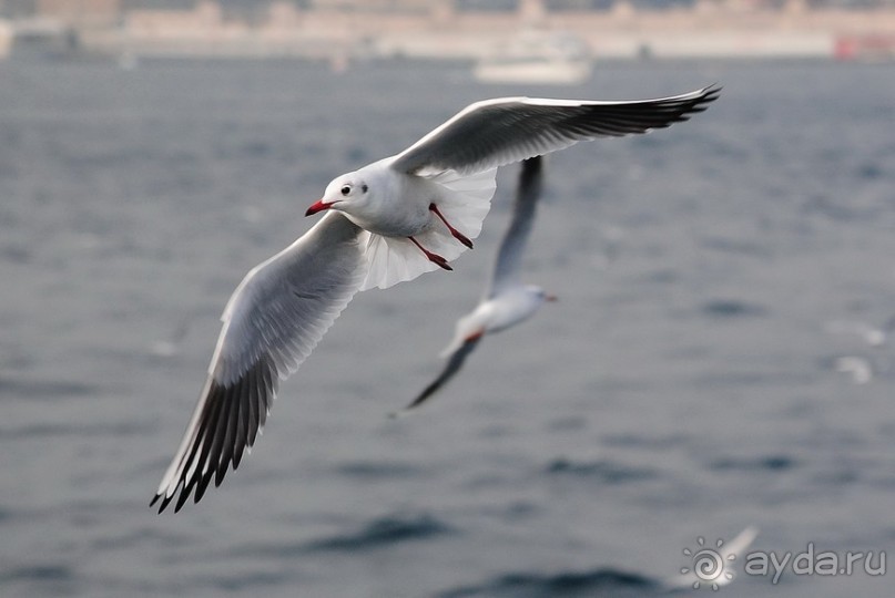 Прогулки по Стамбулу. Азиатский берег