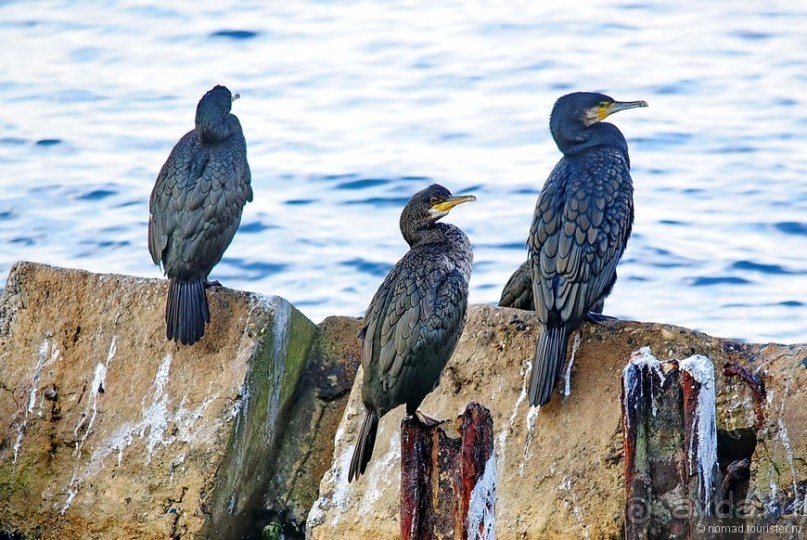 Прогулки по Стамбулу. Азиатский берег