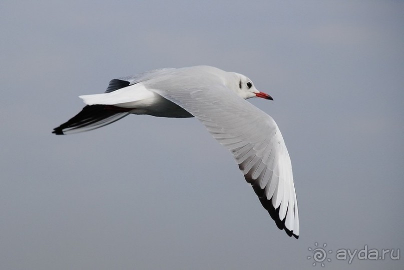 Прогулки по Стамбулу. Азиатский берег