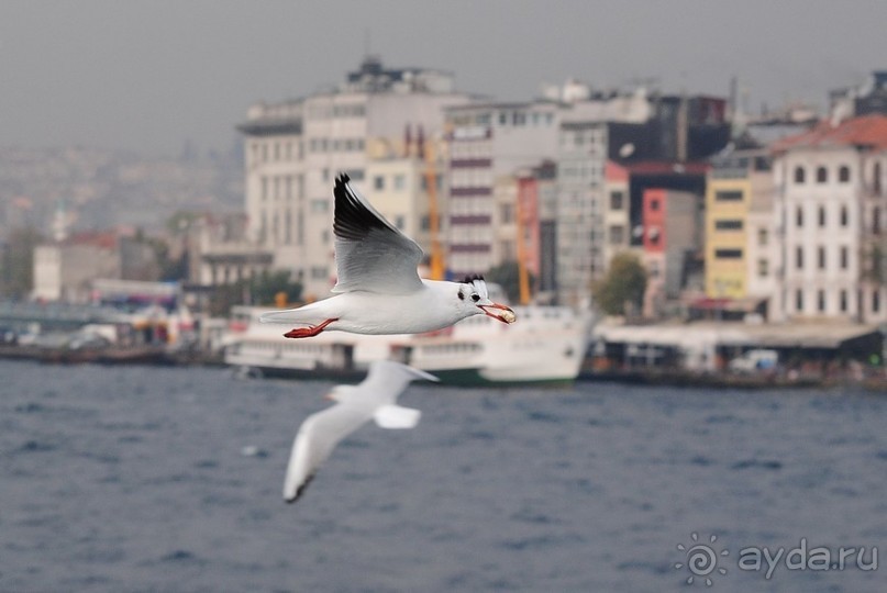 Прогулки по Стамбулу. Азиатский берег