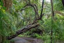 Африканское ралли. Часть 6. Зимбабве.