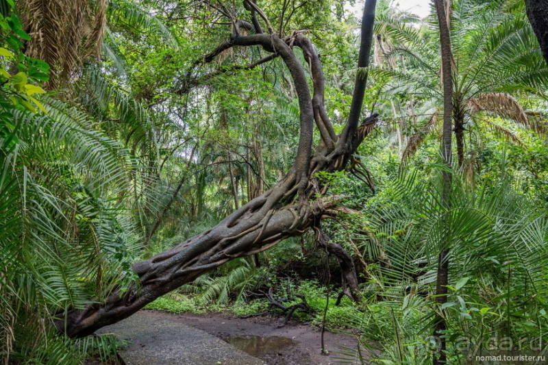 Африканское ралли. Часть 6. Зимбабве.