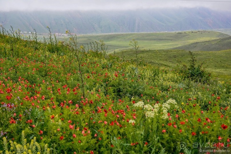 Страна хачкаров и алых маков. Часть 3