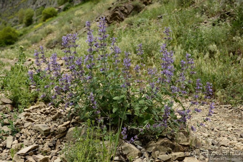 Страна хачкаров и алых маков. Часть 3