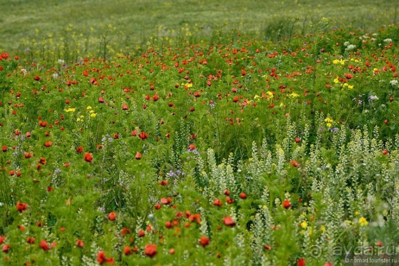 Страна хачкаров и алых маков. Часть 3